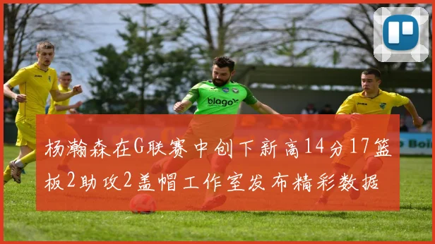 杨瀚森在G联赛中创下新高14分17篮板2助攻2盖帽工作室发布精彩数据海报